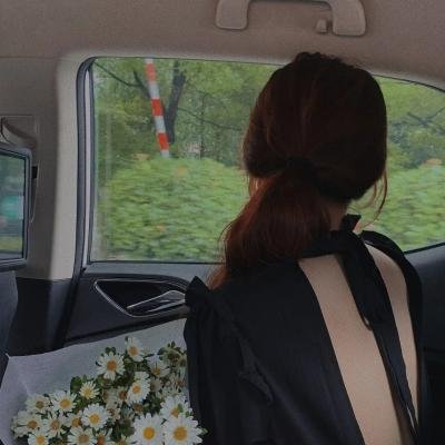 鹡鸰女神第一季